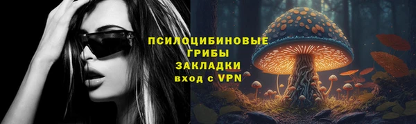 МДПВ Армянск