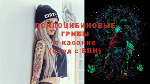 спиды Арсеньев